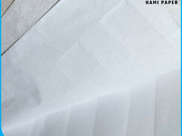 Giấy Lót Khay Bánh: Công Dụng & Các Loại Giấy Nấu Ăn Được Ưa Chuộng Nhất