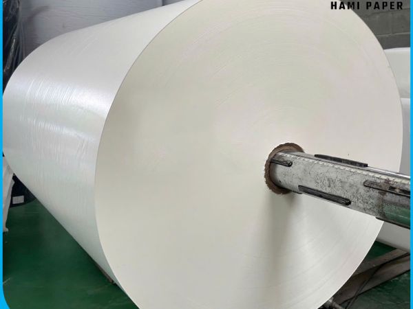 Vì sao giá giấy Pelure, giấy Kraft và giấy MG lại khác nhau?