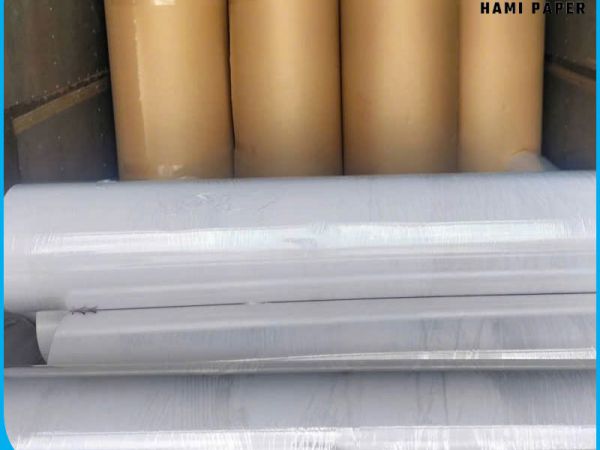 Giấy Kraft nâu và giấy Kraft trắng khác nhau như thế nào?