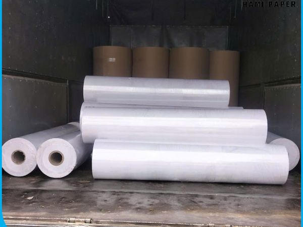 Giấy Kraft nâu và giấy Kraft trắng khác nhau như thế nào?